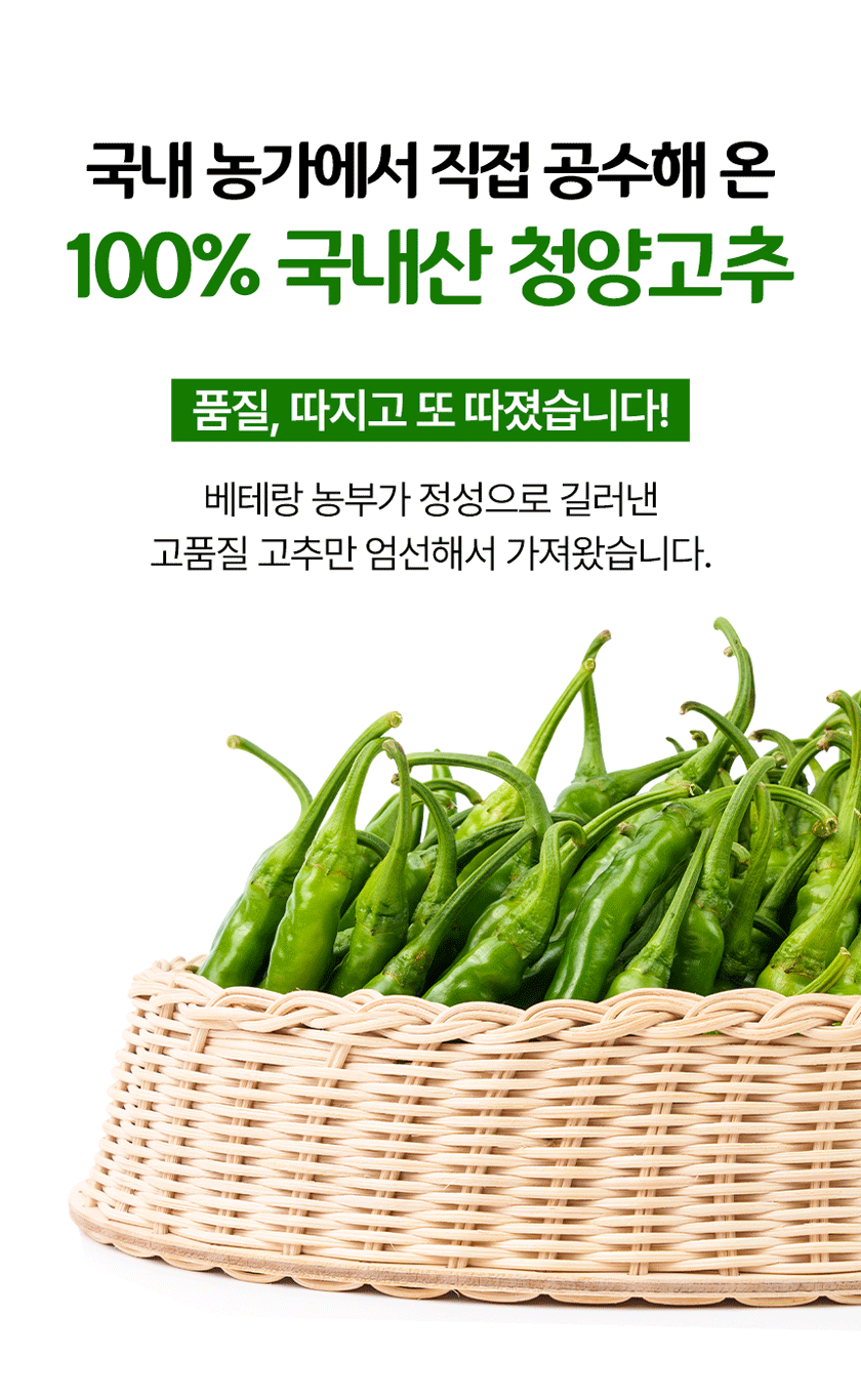 전라도청년 국내산 청양고추, 상, 1kg, 1박스