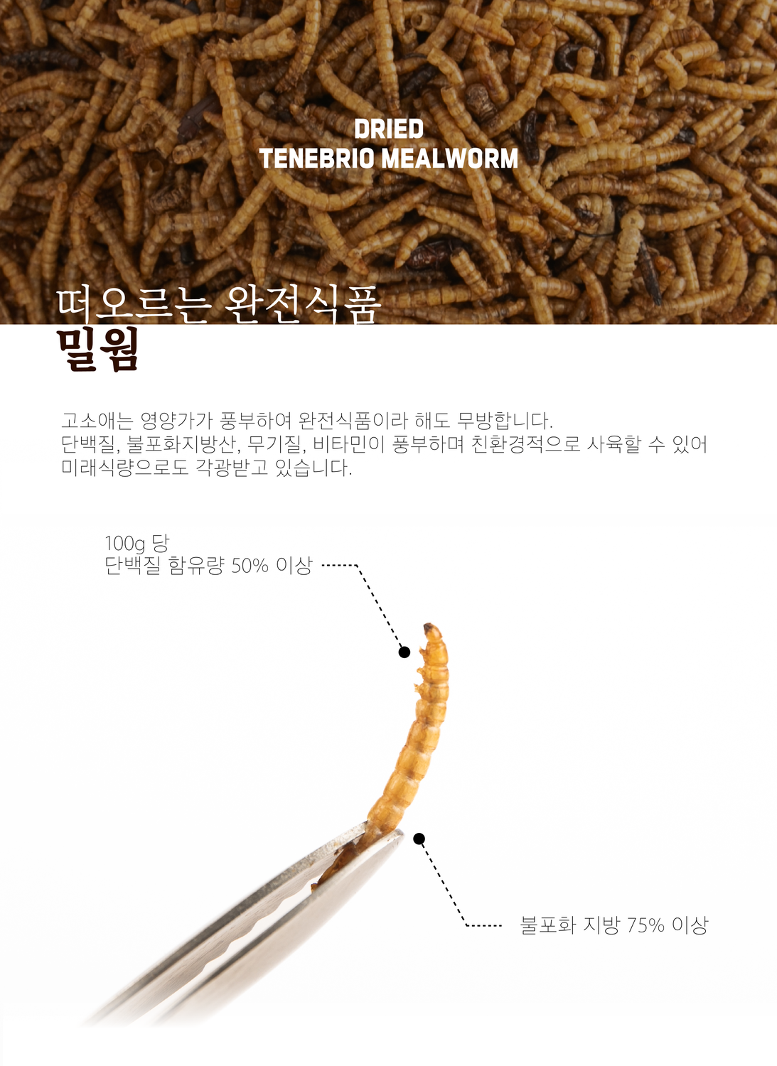 테네브리오 밀웜 바삭한 고소애, 300g, 1개 상세 이미지 2
