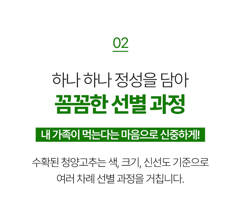 전라도청년 국내산 청양고추, 상, 1kg, 1박스