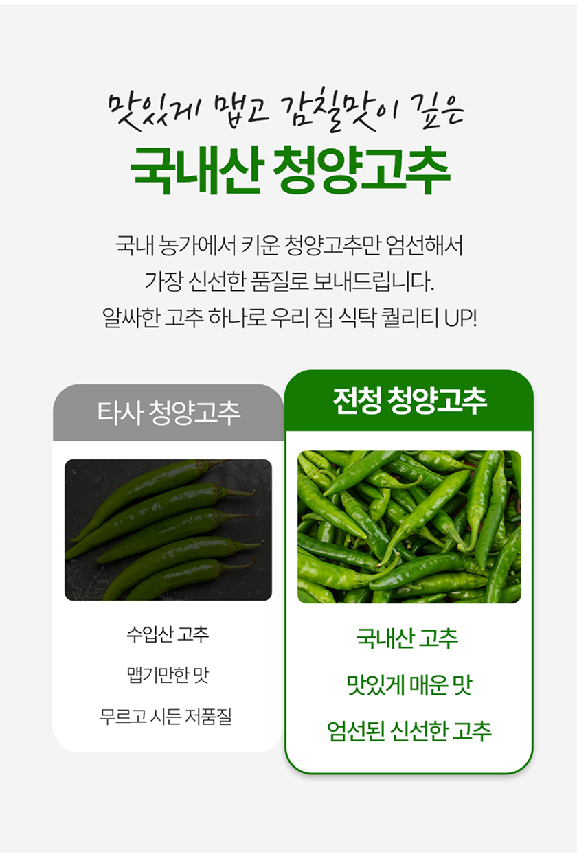 전라도청년 국내산 청양고추, 상, 1kg, 1박스