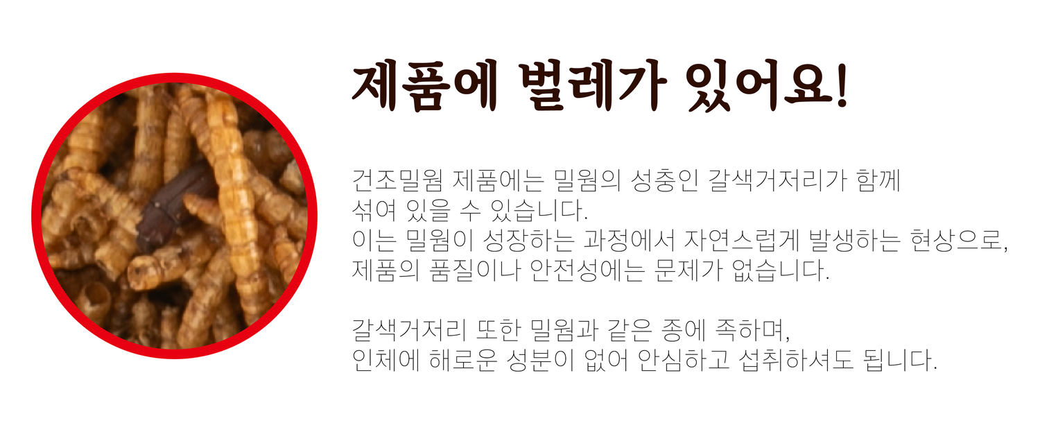 테네브리오 밀웜 바삭한 고소애, 300g, 1개 상세 이미지 5