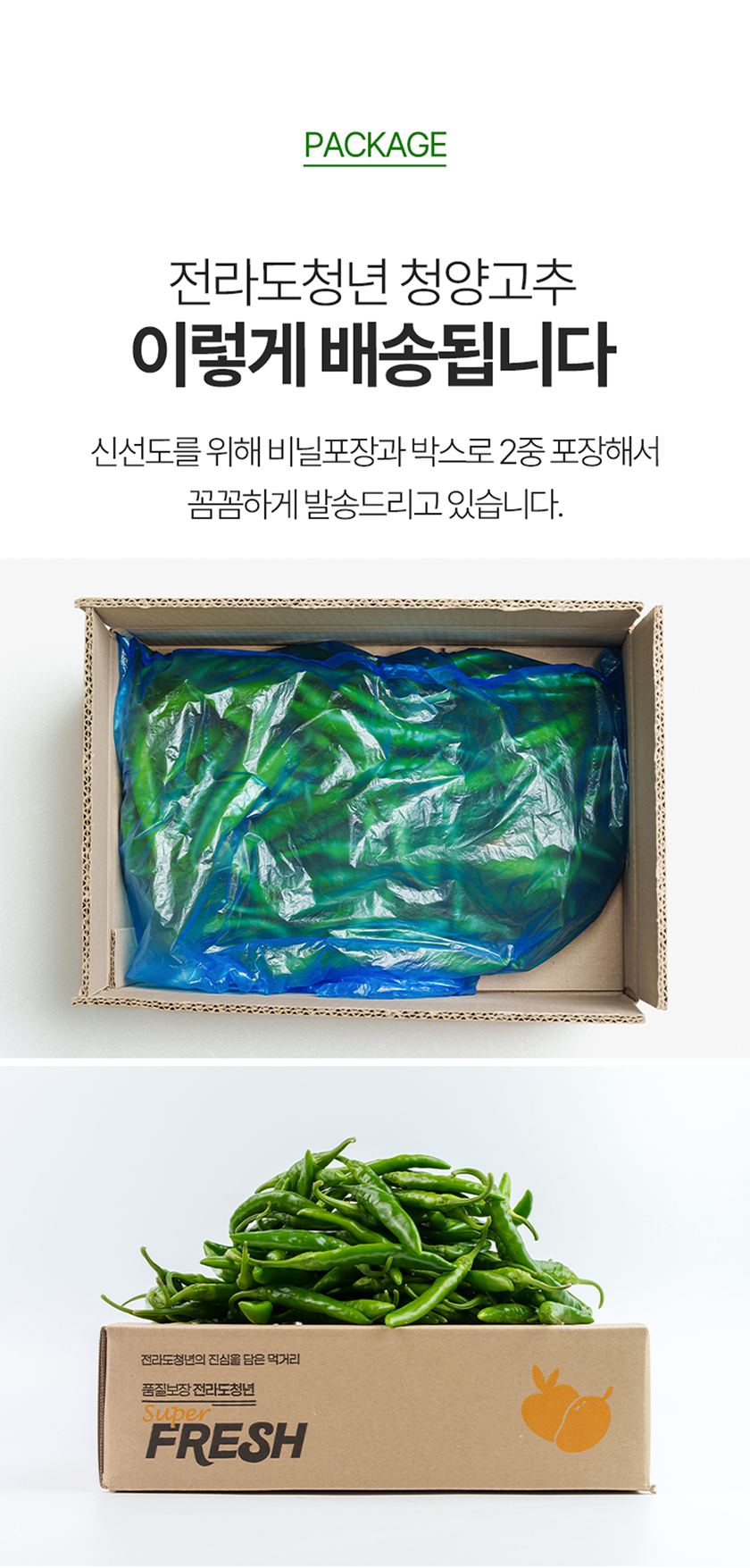 전라도청년 국내산 청양고추, 상, 1kg, 1박스