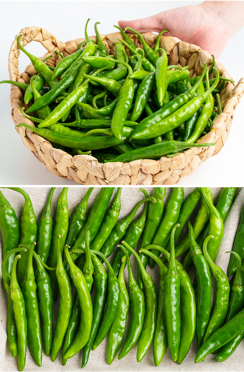 전라도청년 국내산 청양고추, 상, 1kg, 1박스