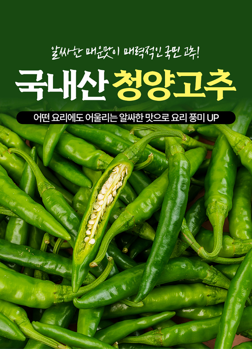 전라도청년 국내산 청양고추, 상, 1kg, 1박스
