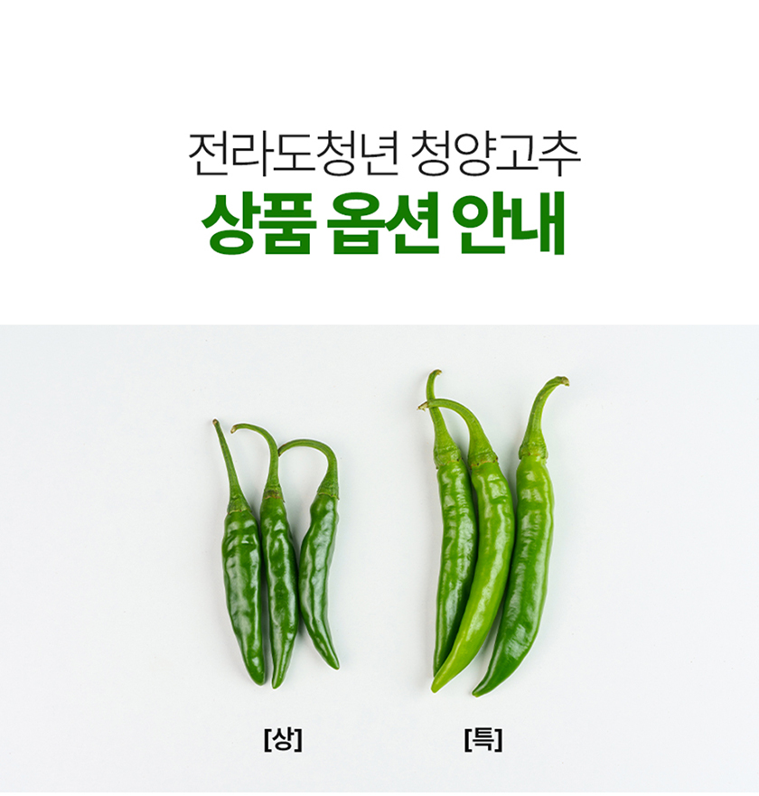 전라도청년 국내산 청양고추, 상, 1kg, 1박스