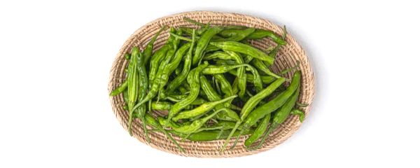 국내산 꽈리고추, 1kg, 1박스