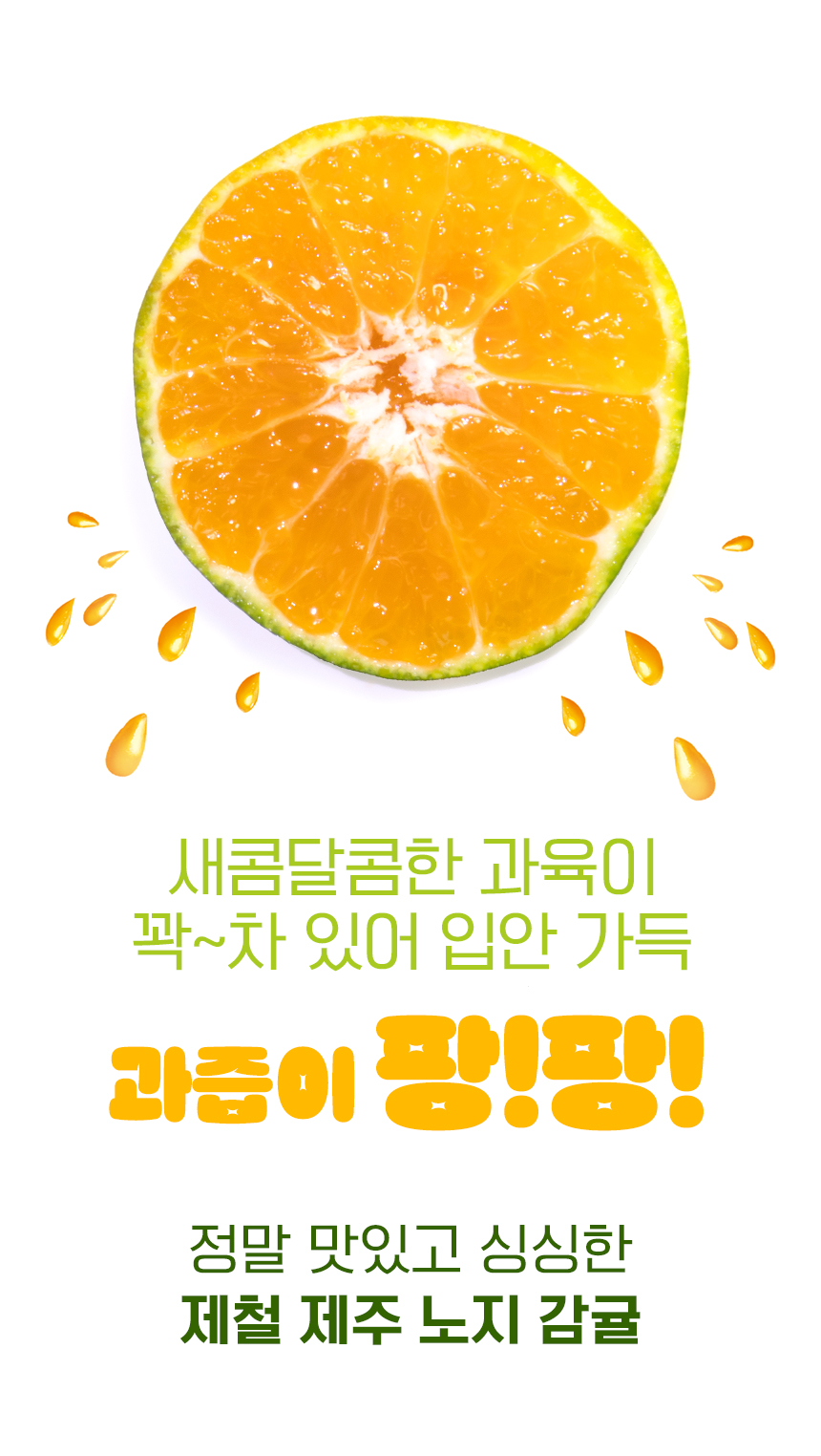 제주 하우스 감귤 서귀포 귤, 로얄과, 10kg, 1박스 상세 이미지 3