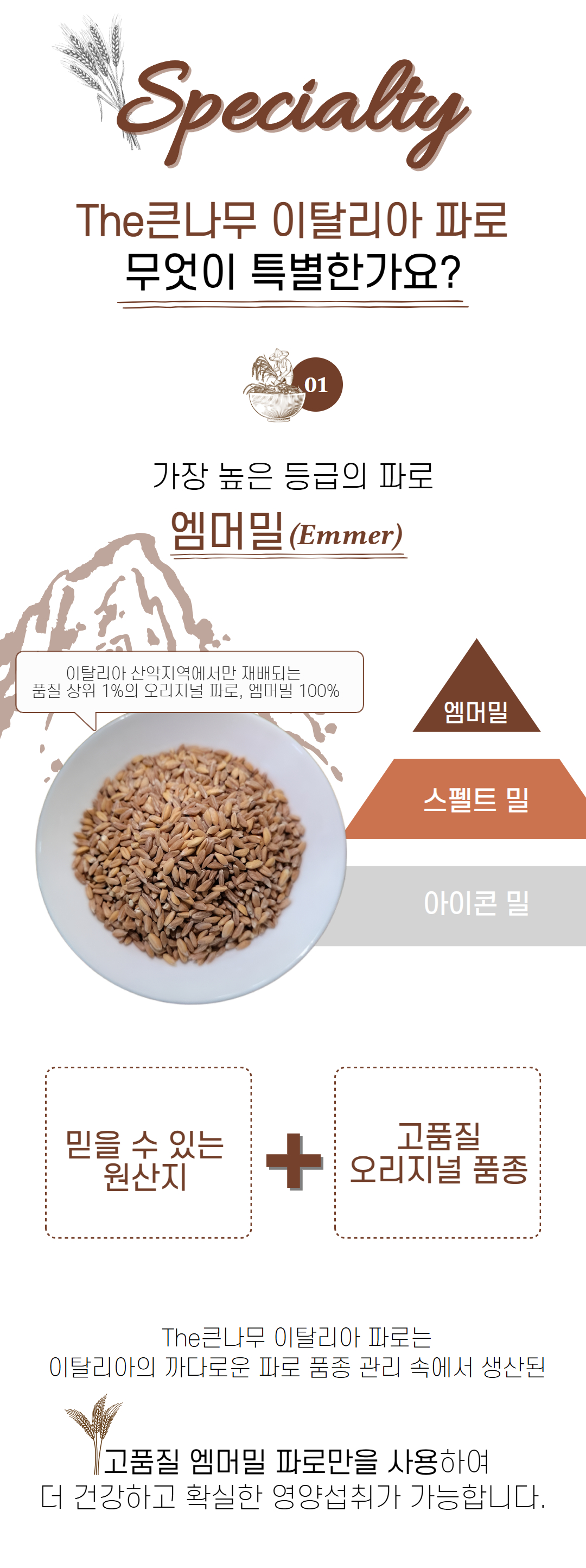 큰나무 이탈리아 엠머밀 파로, 1kg, 2개 상세 이미지 4