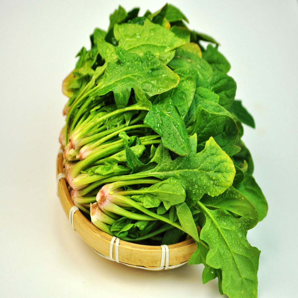 남해 보물초 시금치 1kg