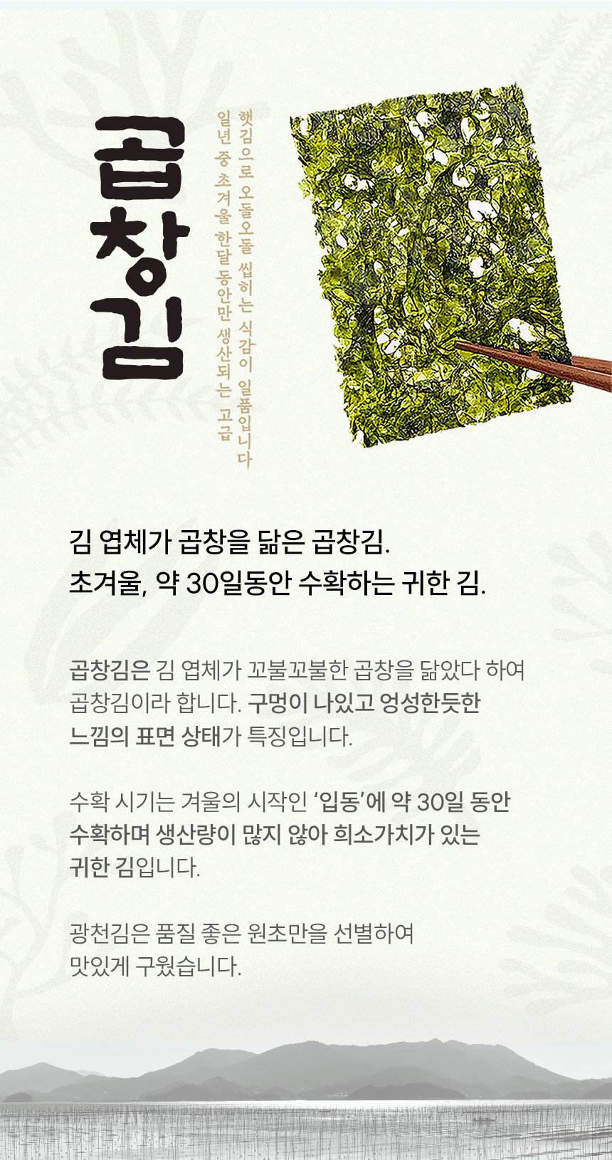 광천김 곱창김 도시락김, 5g, 27개 상세정보 4