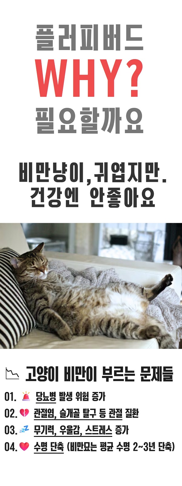 MAAH 고양이 터치하면 움직이는 자동 장난감 캣닢 플러피버드, 튜칸, CST-09, 1개 상세 이미지 6