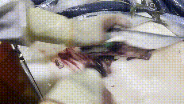 국내산 중사이즈 자반 고등어, 10마리, 2.8kg 내외, 1세트