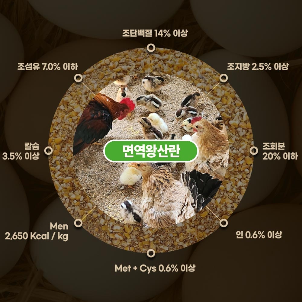 면역왕산란 닭사료, 닭, 20kg, 1포 상세 이미지 4
