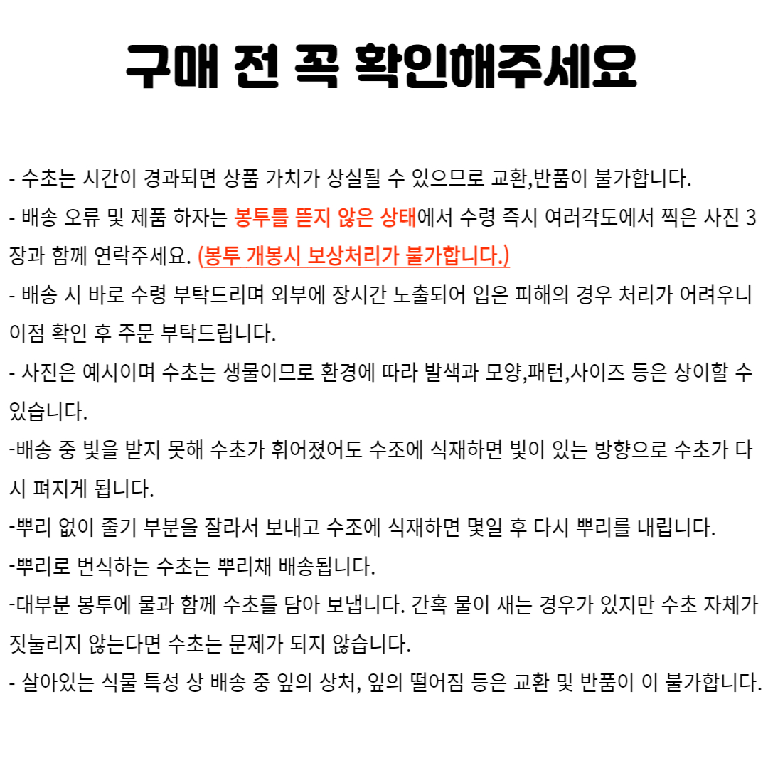 수초킹 모스볼, 약3cm, 1개 상세 이미지 3