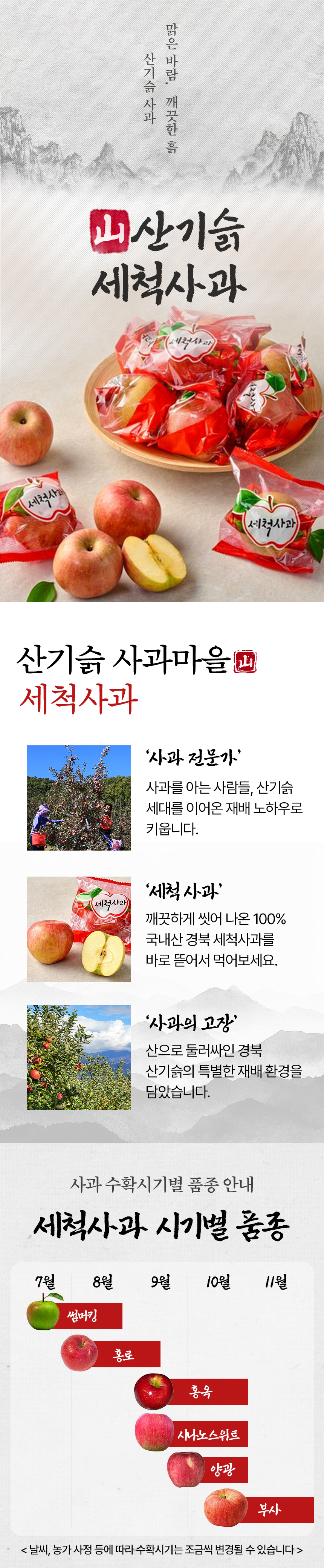 세척 사과, 한입과, 14과 내외, 2kg, 1박스 상세 이미지 4
