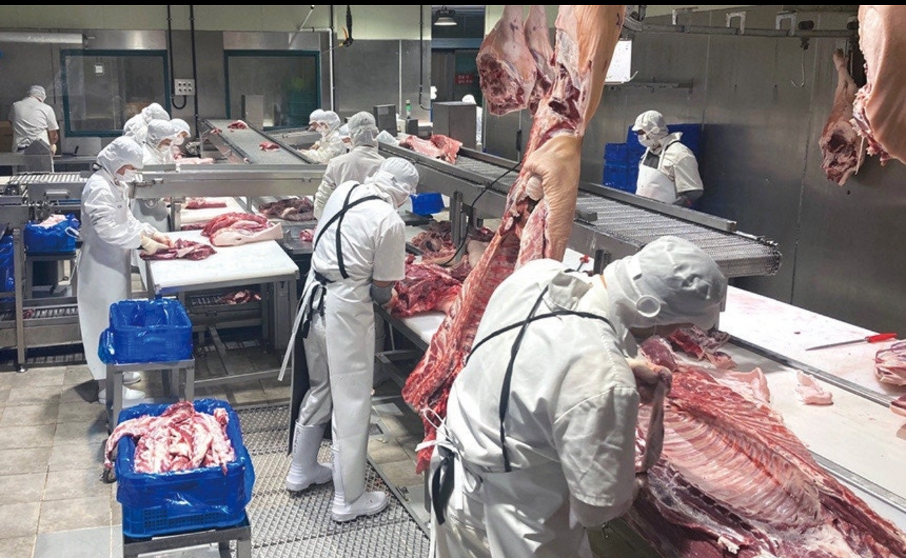 국내산 한돈 돼지 등갈비, 1kg, 1개