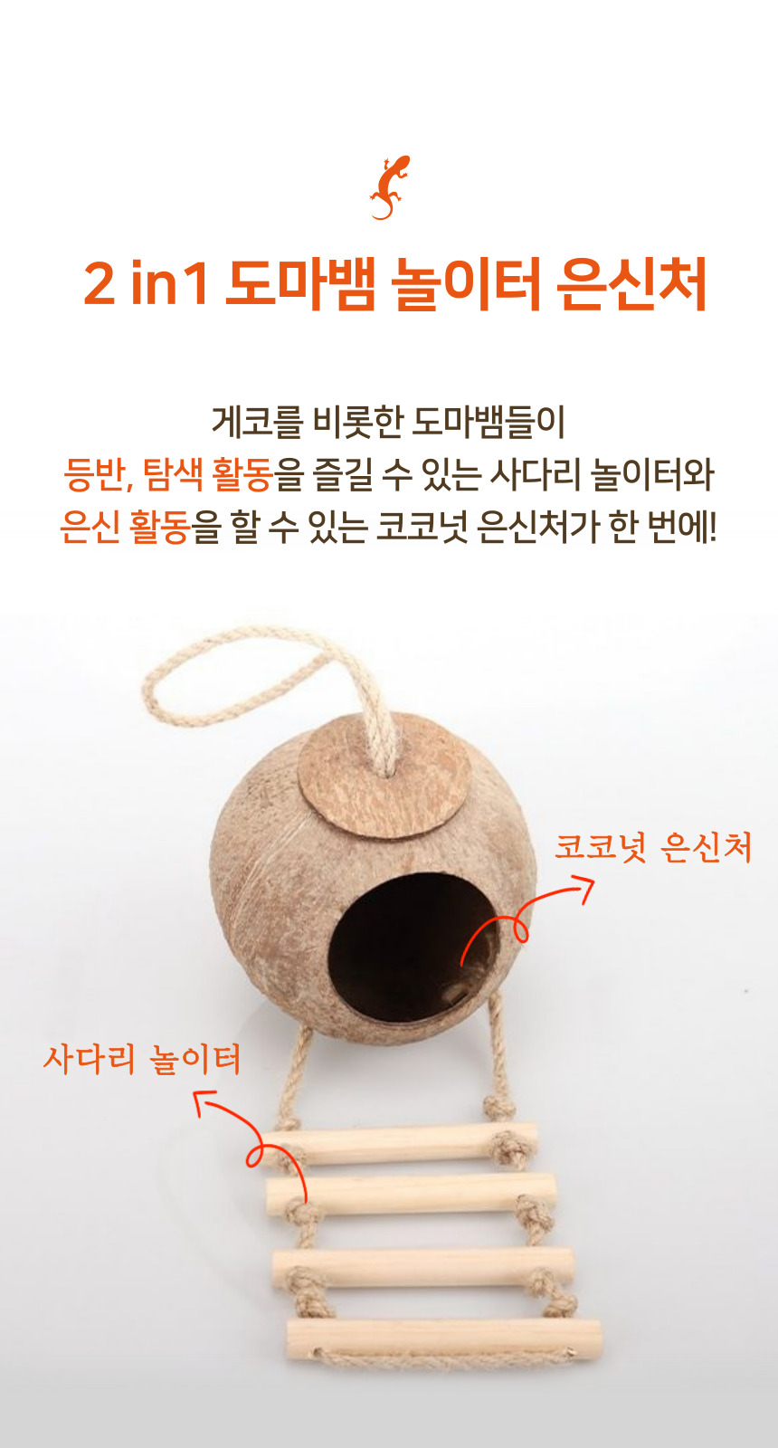 도마뱀 코코넛 사다리 은신처 숨숨집, 내츄럴, 1세트 상세 이미지 6