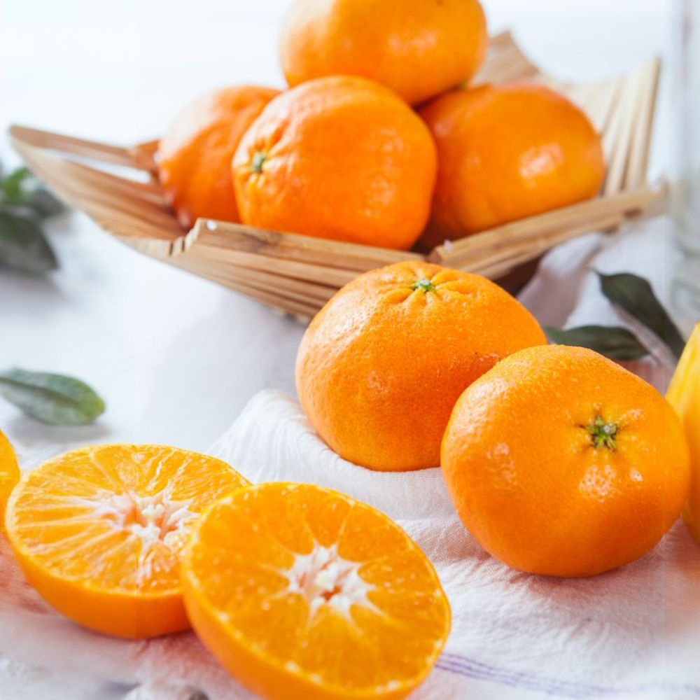 레드향 3kg 로얄 9-14과