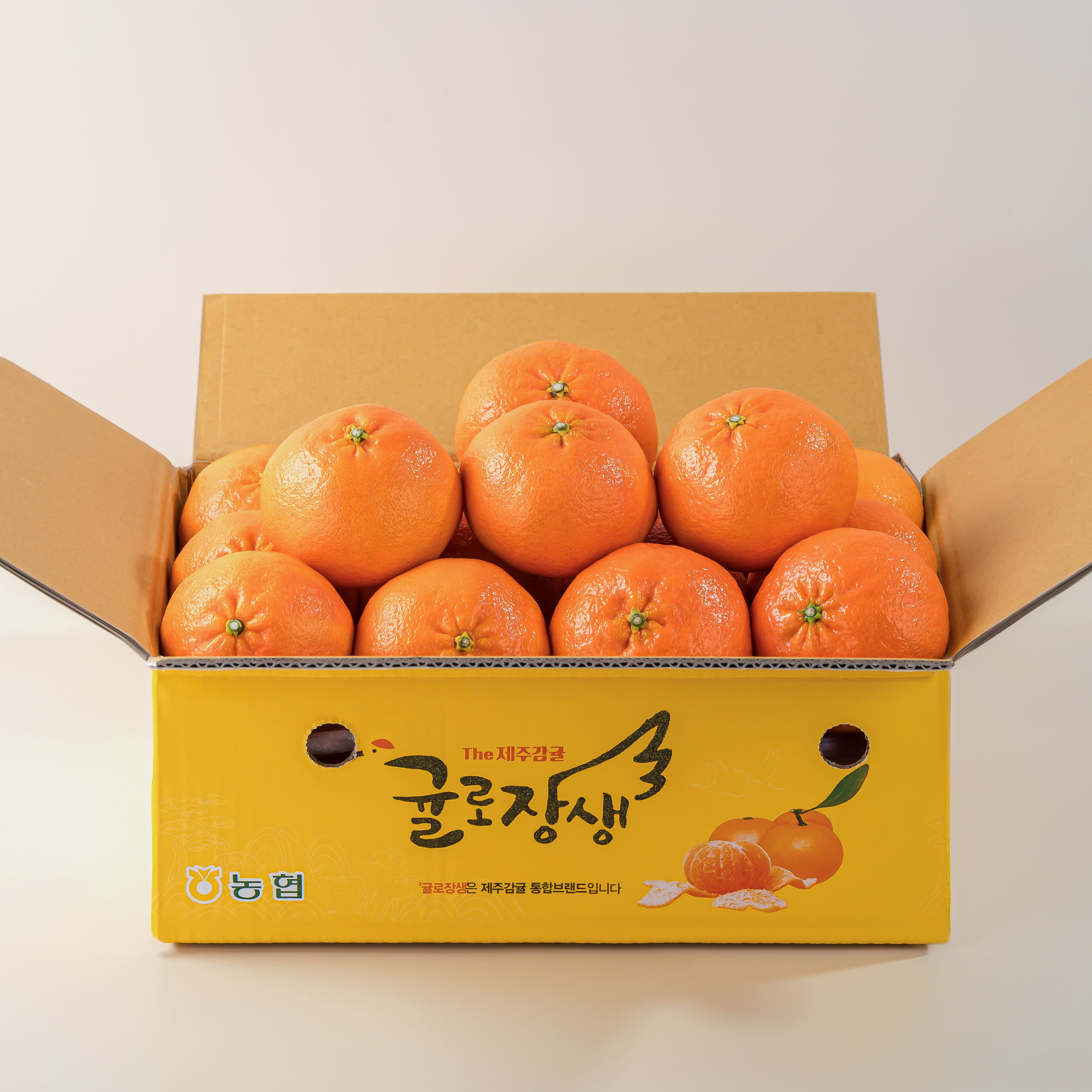 제주남원농협 곱들락 레드향 중과 2kg