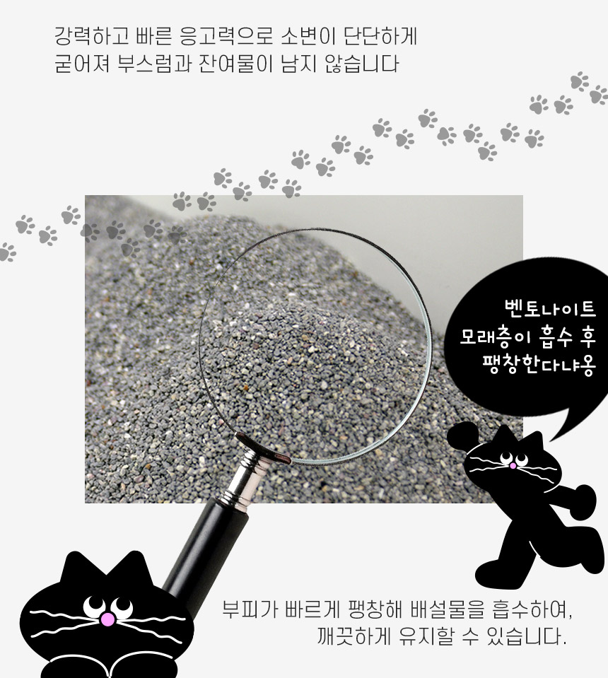 캐트로 벤토나이트 먼지없는 고양이모래, 무향, 18kg, 3팩, 1개
