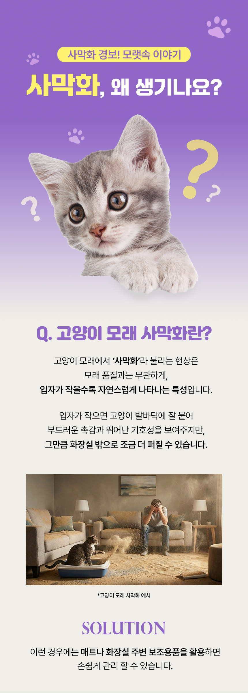 캐트로 벤토나이트 먼지없는 고양이모래, 무향, 18kg, 3팩, 1개