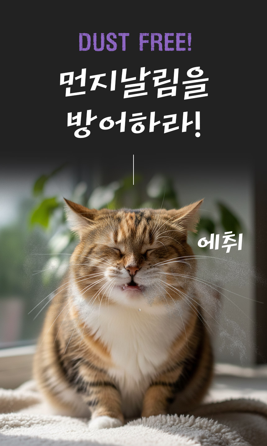 캐트로 벤토나이트 먼지없는 고양이모래, 무향, 18kg, 3팩, 1개