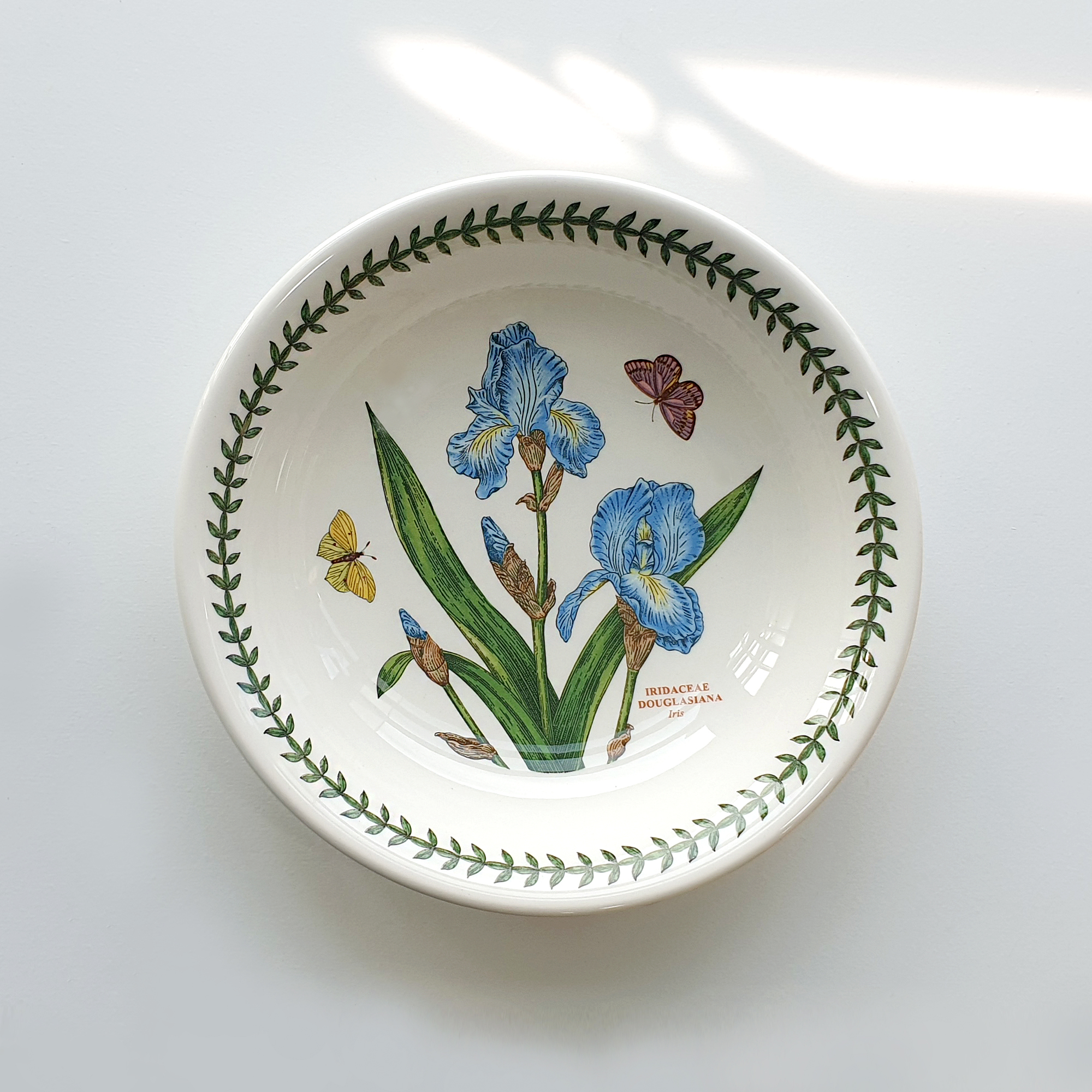 포트메리온 보타닉가든 파스타볼, 화이트, 22cm, 1개