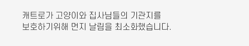 캐트로 벤토나이트 먼지없는 고양이모래, 무향, 18kg, 3팩, 1개