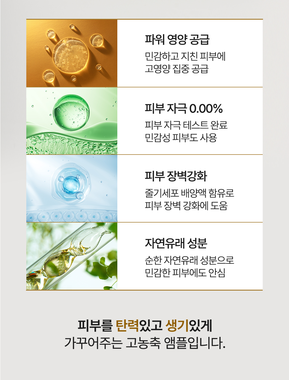 더프레스카 랩 리페어 리바이탈 골드 앰플, 50ml, 1개 상세 이미지 5