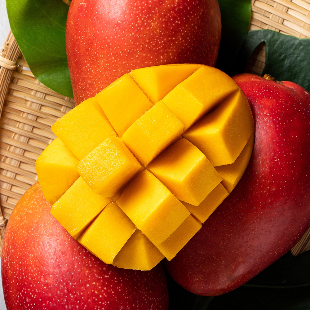 애플망고 4kg 8수