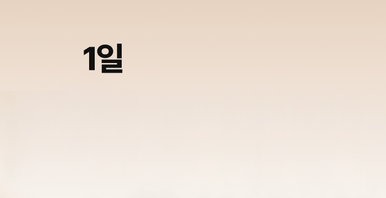 풍년보감 고려홍삼정 에브리데이100, 15g, 200포