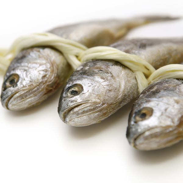 선물용 영광굴비 20마리