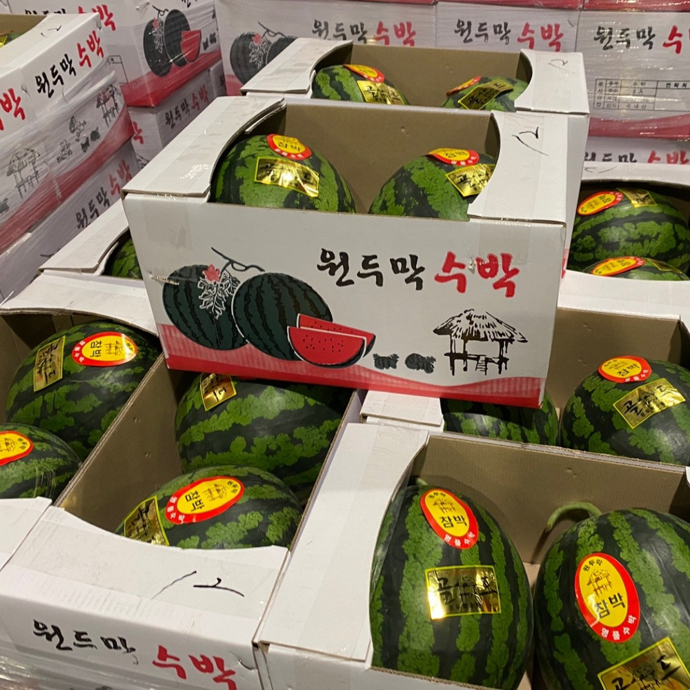 지니포모어 고당도 꿀수박, 못난이 수박, 3kg 내외, 1개 상품 이미지 4
