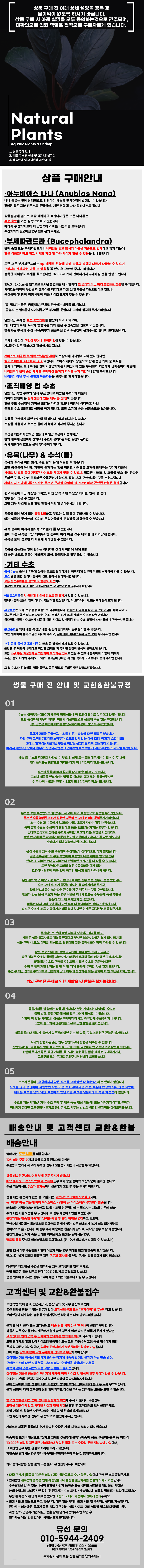 아누비아스 활착유목, 1개 상세 이미지 1