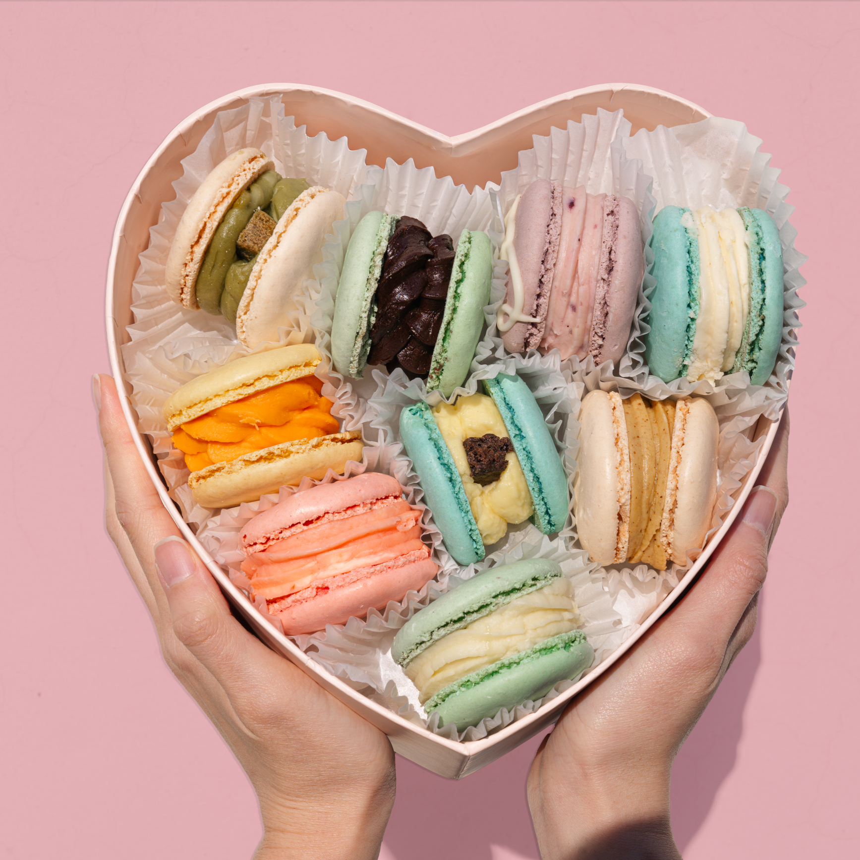 널담 뚱카롱 8개입 1박스