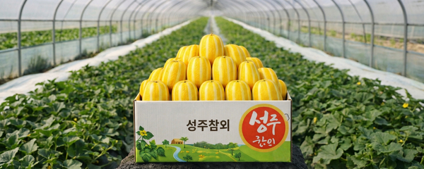 성주 꿀참외, 가정용, 못난이, 대용량, 9kg, 1박스