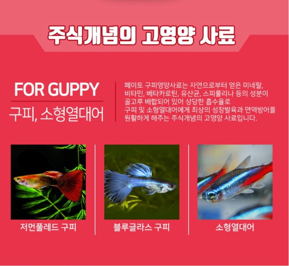 페이토 구피영양사료, 구피, 100ml, 1개 상세 이미지 1