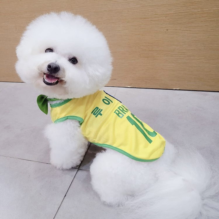 강아지 고양이 이름 각인 축구 유니폼, L, 스페인 , 1개