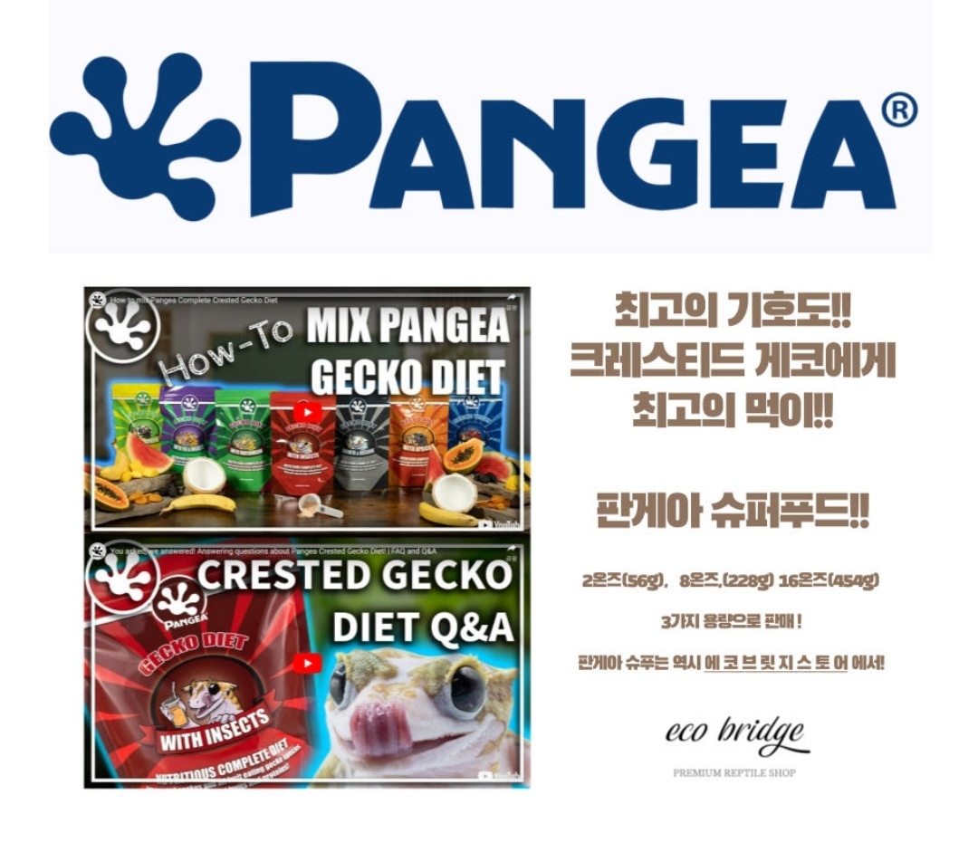 판게아 인섹트, 56g, 1개 상세 이미지 2