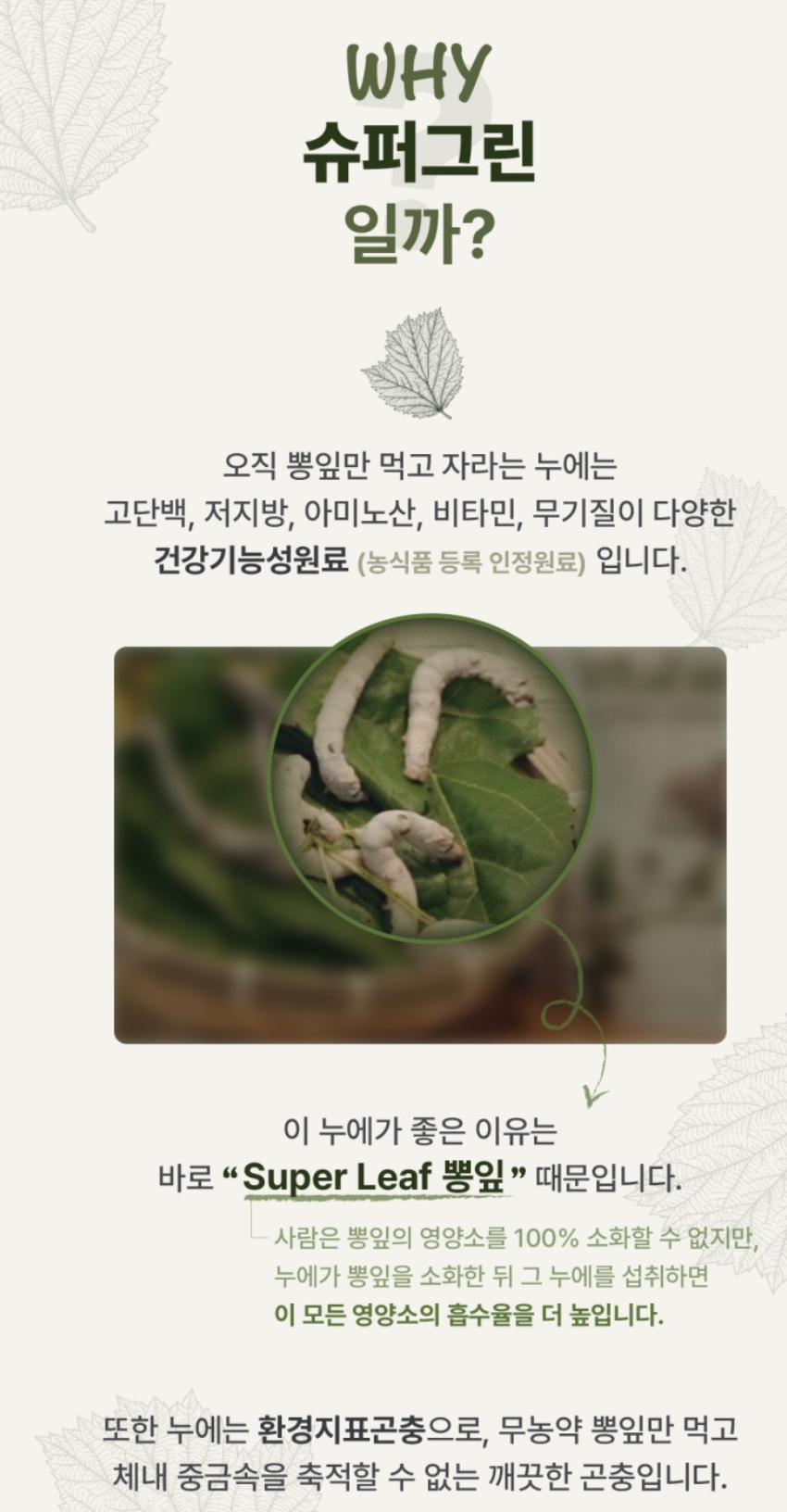 바이탈밀 크레스티드게코 슈퍼푸드 슈퍼그린, 50g, 1개 상세 이미지 3
