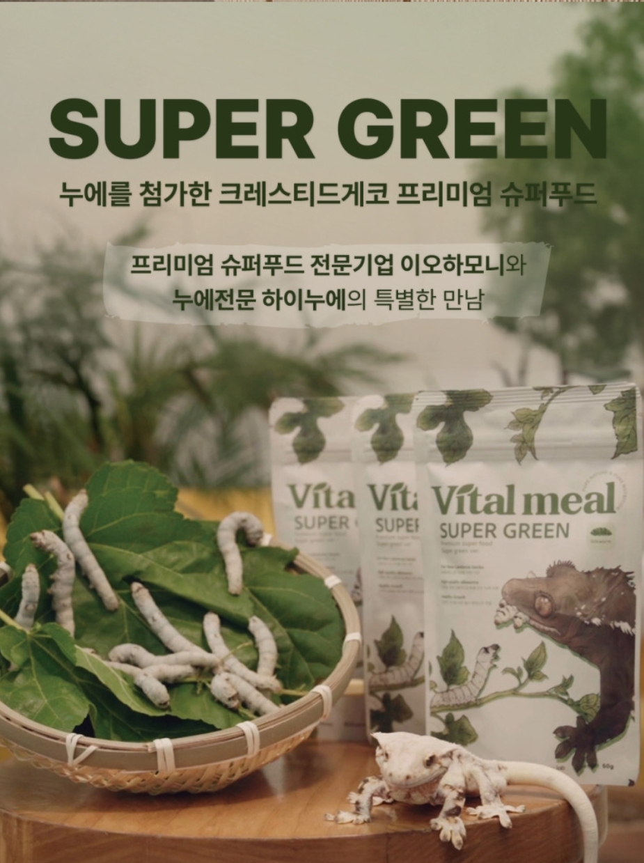 바이탈밀 크레스티드게코 슈퍼푸드 슈퍼그린, 50g, 1개 상세 이미지 2