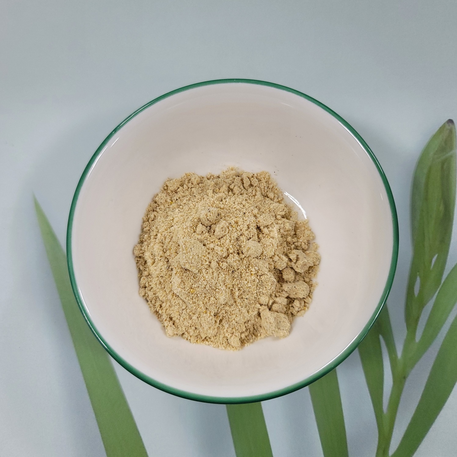 녹십자수의약품 G-REP 슈퍼푸드 무화과맛 크레스티드 게코 사료, 100g, 1개 상세 이미지 2