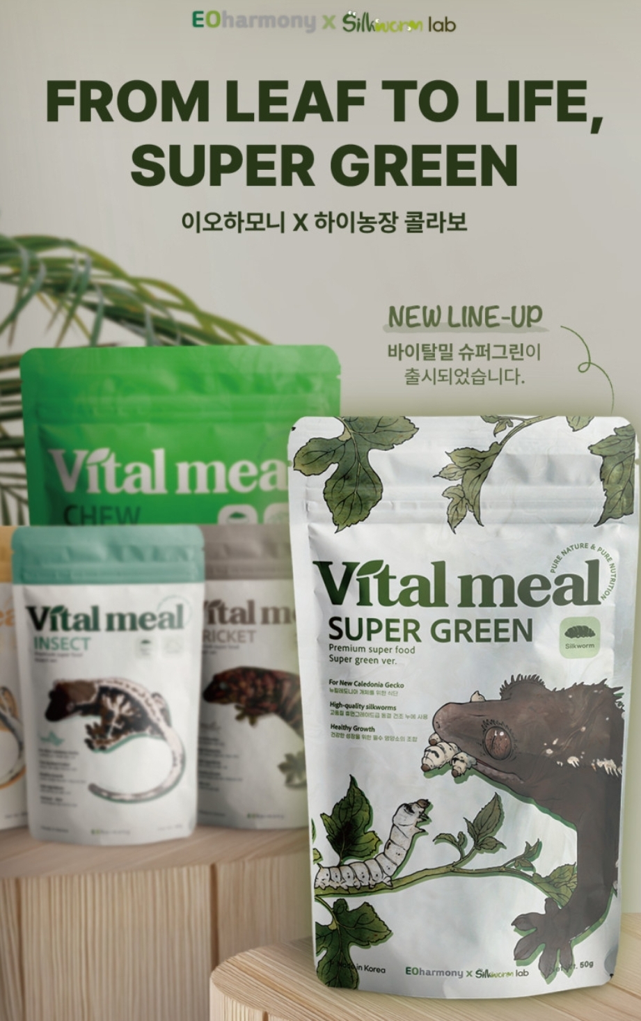 바이탈밀 크레스티드게코 슈퍼푸드 슈퍼그린, 50g, 1개 상세 이미지 1