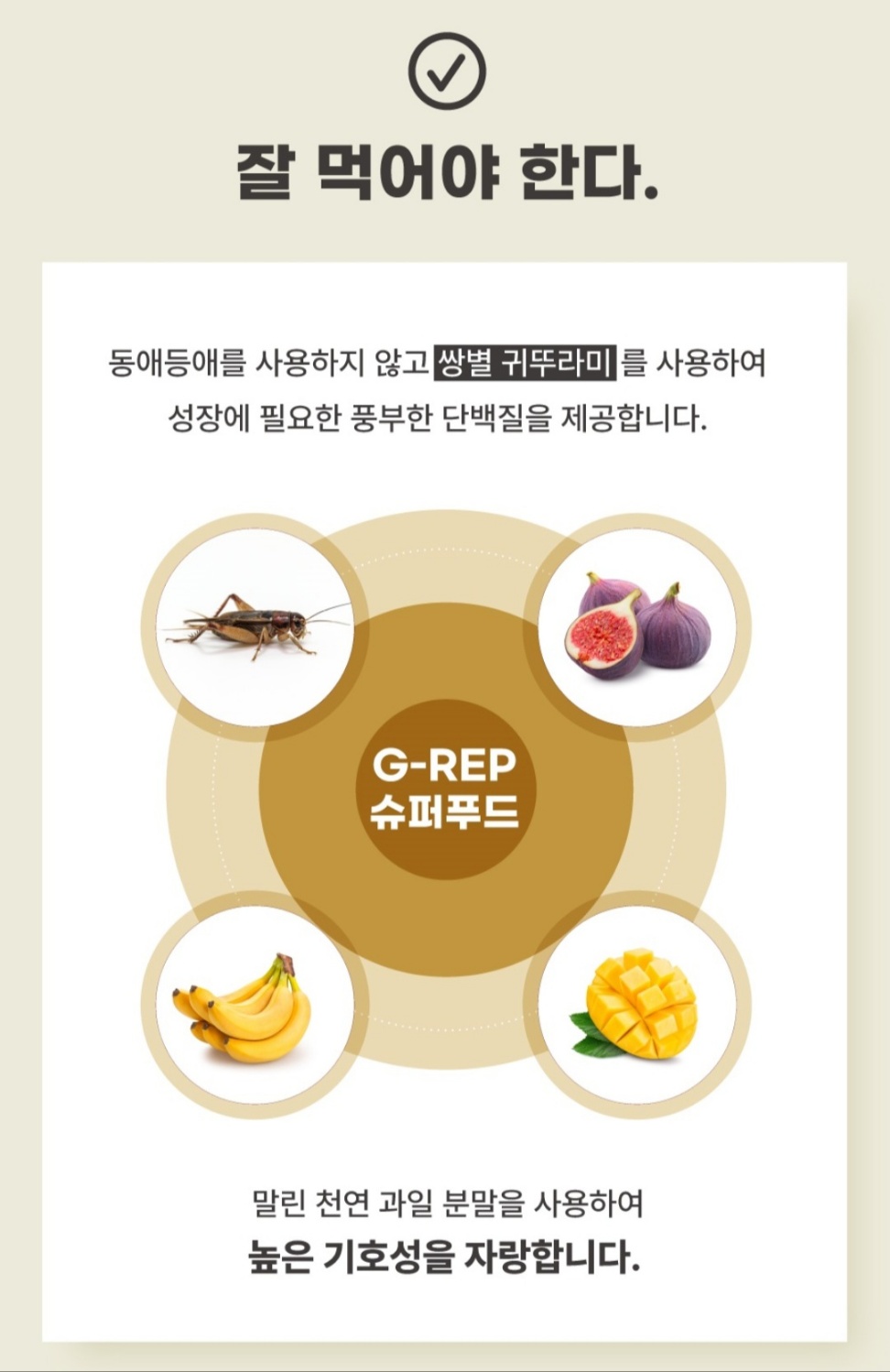 녹십자수의약품 G-REP 슈퍼푸드 무화과맛 크레스티드 게코 사료, 100g, 1개 상세 이미지 4