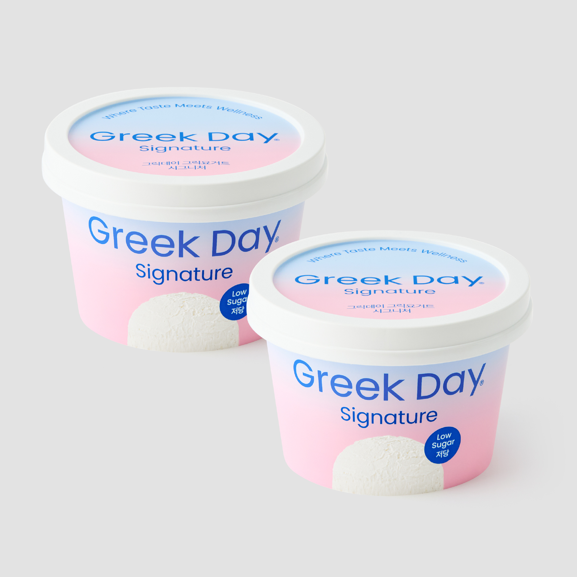 그릭데이 그릭요거트 시그니처 450g 2개