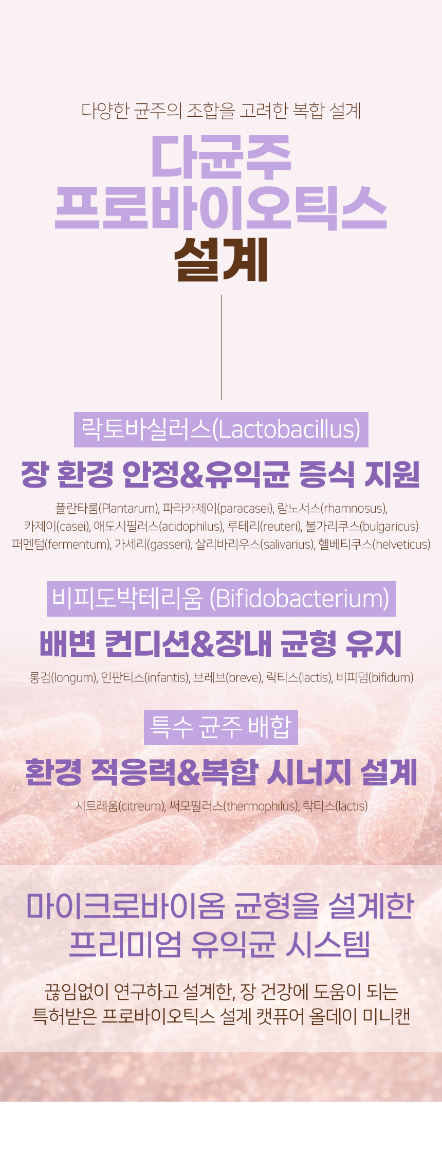 캣퓨어 고양이 올데이 미니캔 유산균 습식캔, 신장 건강에 도움, 240g, 8개, 1개 상세 이미지 2