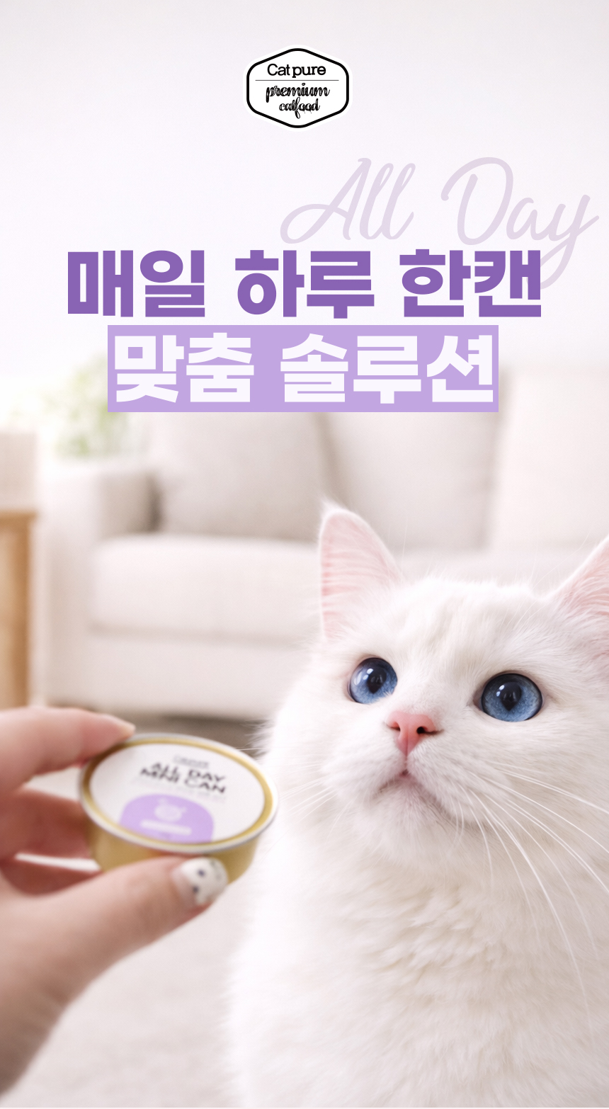 캣퓨어 고양이 올데이 미니캔 유산균 습식캔, 신장 건강에 도움, 240g, 8개, 1개 상세 이미지 1