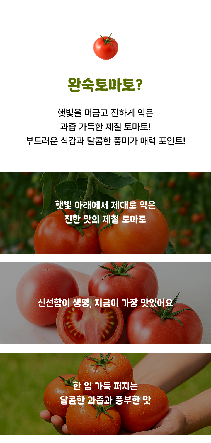 하루특래 완숙 토마토, 못난이 쥬스용, 5kg, 1박스 상세 이미지 2