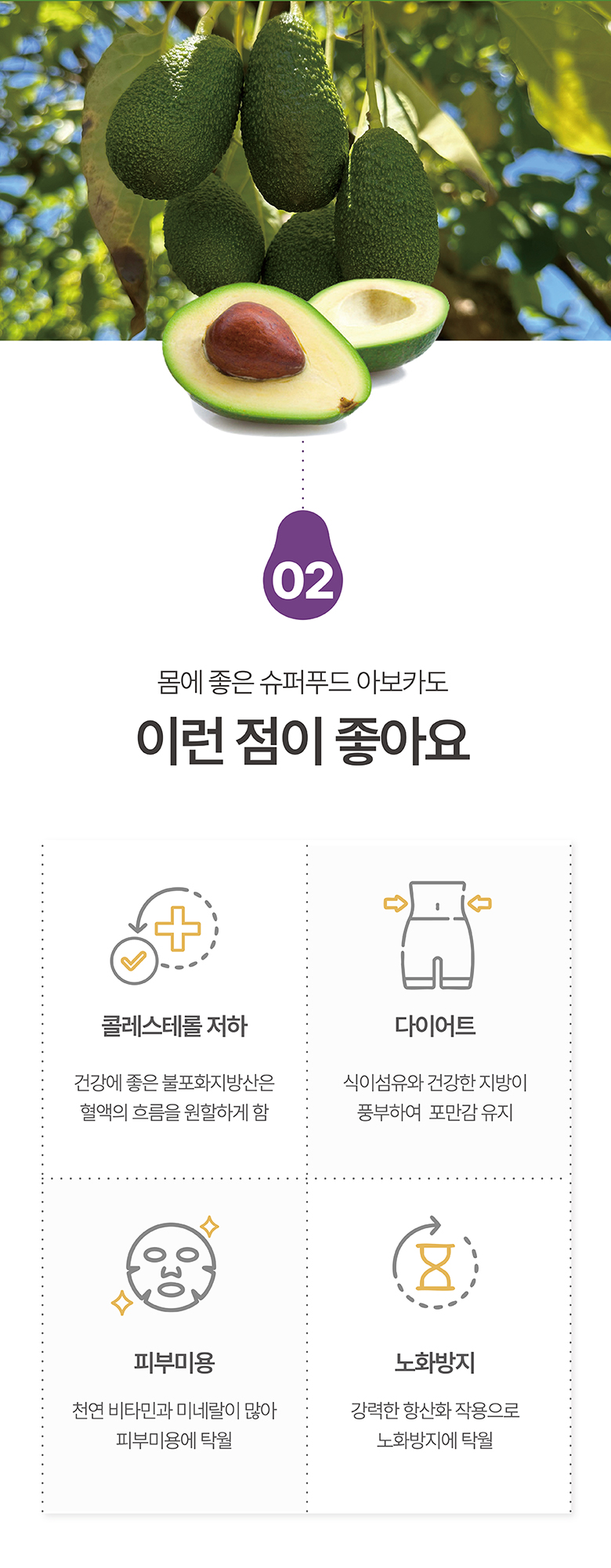 라라로코 프리미엄 생 아보카도, 대과, 10과 상세 이미지 4