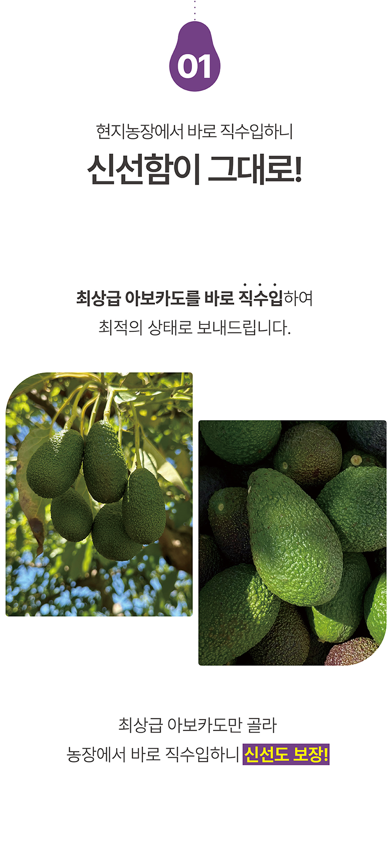 라라로코 프리미엄 생 아보카도, 대과, 10과 상세 이미지 2